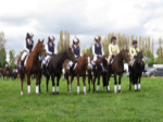 thumbnail Wellsford equestrian team-889
